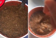 Tendência perigosa do TikTok vê adolescentes engolindo noz-moscada para tentar ficar chapada