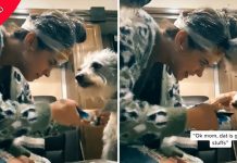 Mulher toma medidas extremas para cortar as unhas de seu cachorro