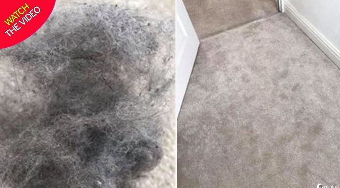 Mulher compartilha Hack para remover cabelo e poeira escondido no tapete