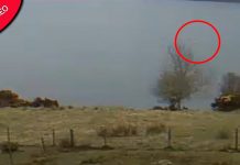Observador de Loch Ness Monster pega forma misteriosa saindo de água na câmera