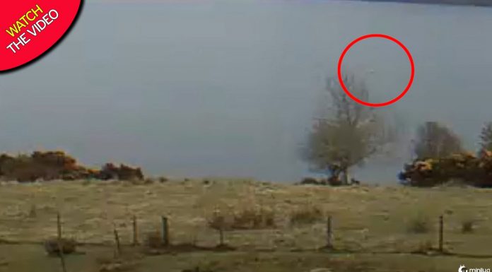 Observador de Loch Ness Monster pega forma misteriosa saindo de água na câmera