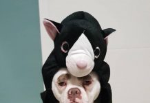 Madame Eyebrows parece sempre triste, não importa o quanto esteja se divertindo