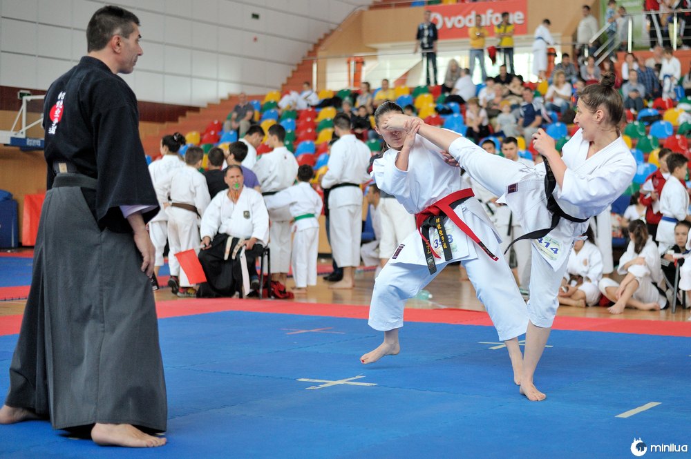 black belts karate tournament