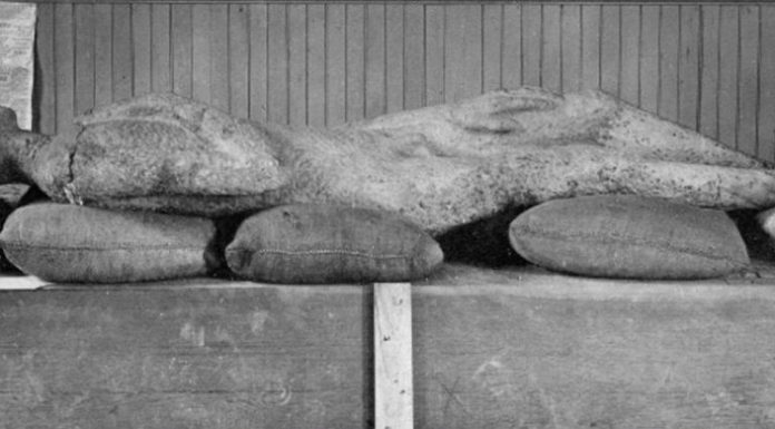 O gigante Cardiff: Os segredos de um homem de pedra