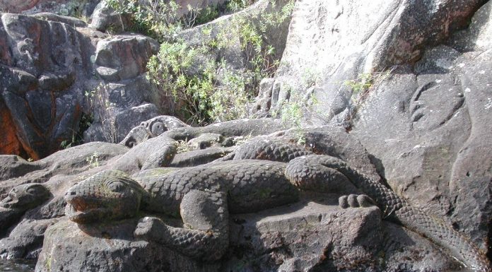 Conheça o temível clube de guerra da garra do crocodilo