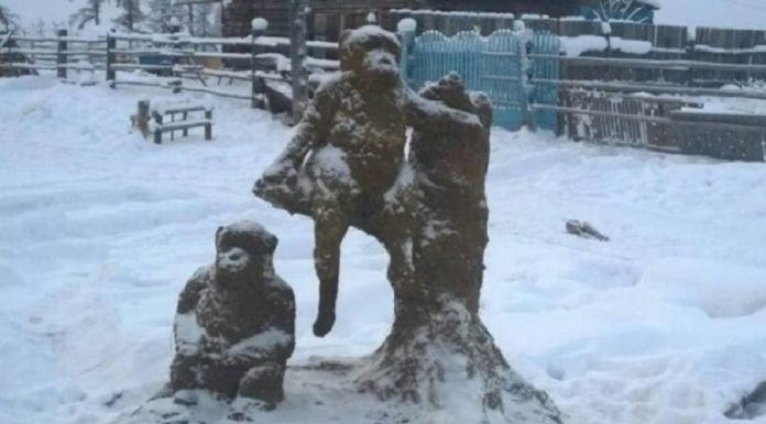 Homem russo faz esculturas gigantes de cocô de vaca