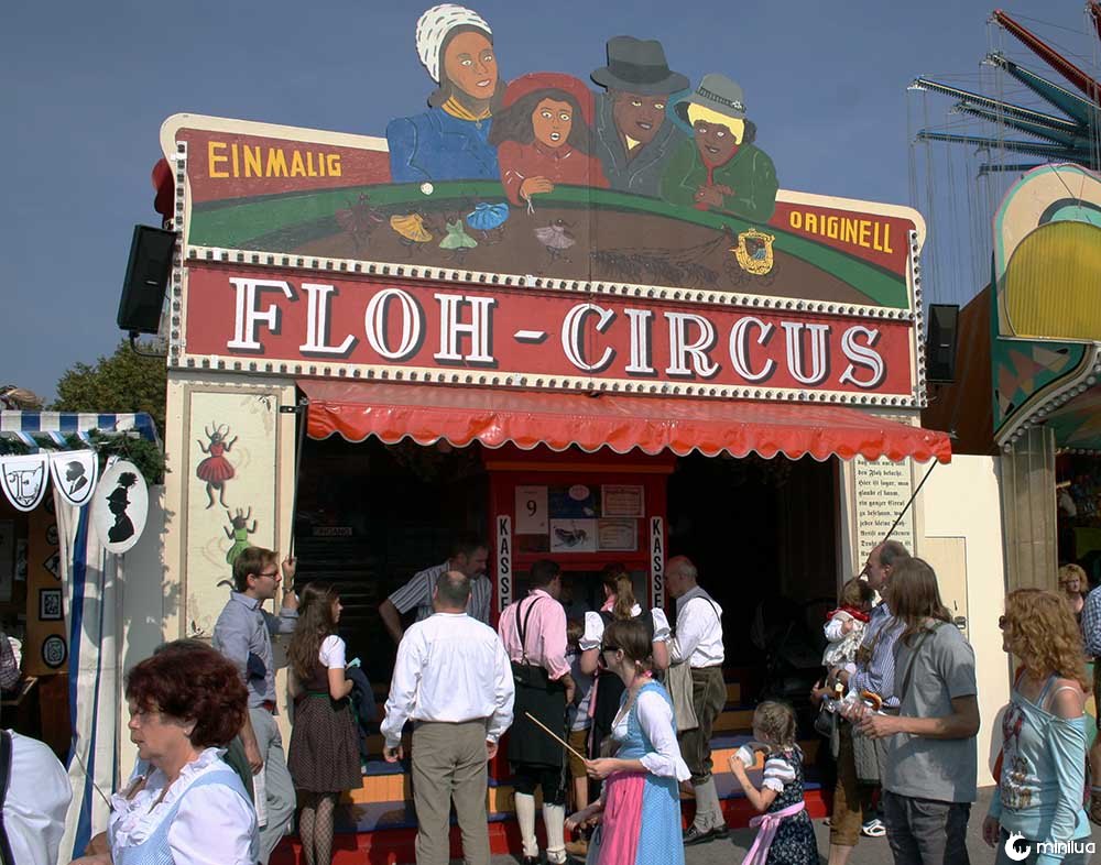 flea circus