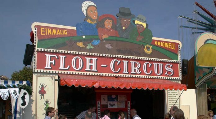 O que é exatamente um circo de pulgas?