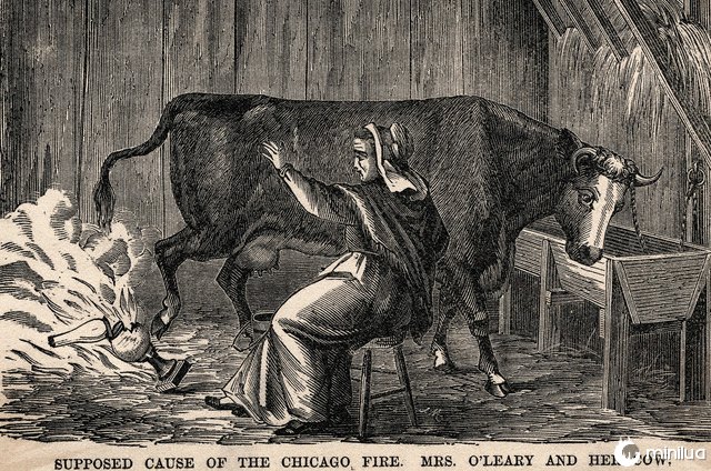o'leary chicago fire cow