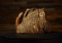 Muitas culturas pensam que estes dentes pertencem a gigantes