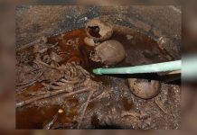 Milhares querem beber o suco de múmia de um sarcófago antigo