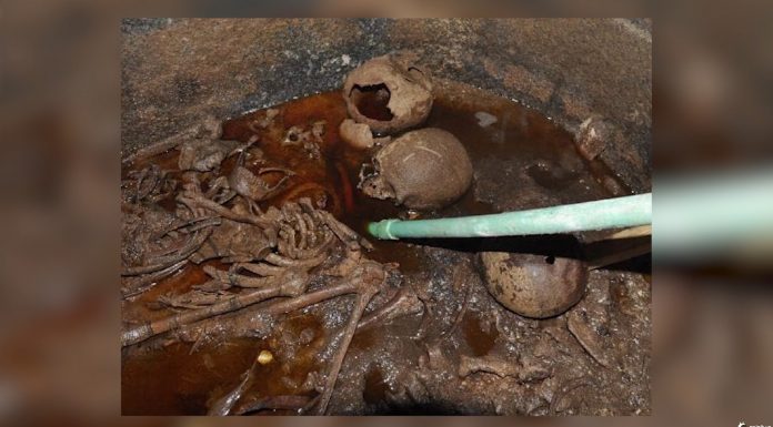 Milhares querem beber o suco de múmia de um sarcófago antigo