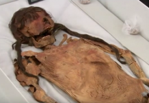 A Senhora de Cao teve sua face reconstruída pela ciência Forense