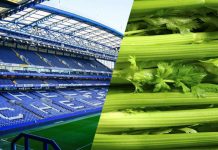 Por que o clube de futebol Chelsea é fixo no aço?