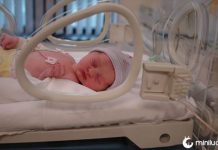 Bebê recém-nascido comido vivo por ratos na incubadora de hospital