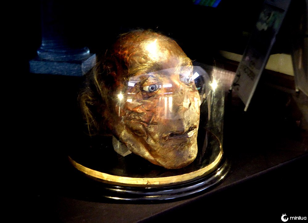 jeremy bentham head