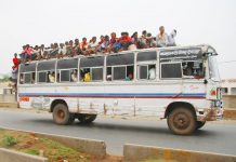 Condutor de ônibus punido por deixar o pombo andar de ônibus gratuitamente