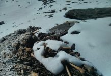 Derretimento de gelo no Himalaia expõe lago cheio de esqueleto