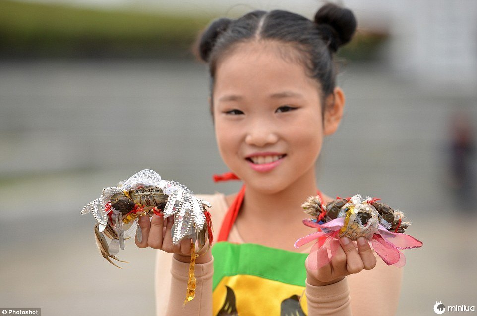 hongze lake harvest festival crab fashion show