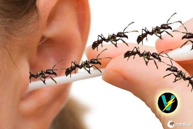 Ants in ear canal