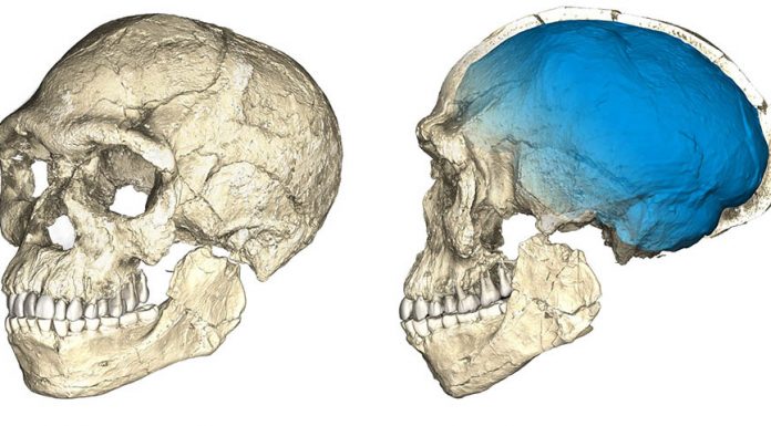 Os fósseis mais antigos já encontrados de Homo Sapiens