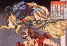 A América planejou usar raposas brilhantes contra o Japão na Segunda Guerra