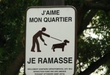 O que guias turísticos japoneses, cocô de cachorro e Síndrome de Paris têm em comum