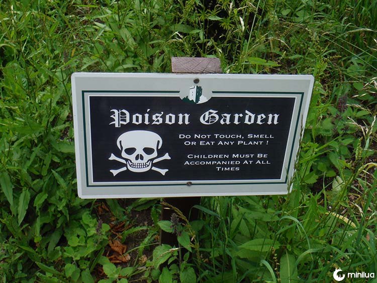 poison garden warning