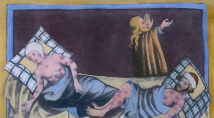 Os ratos não espalharam a peste bubônica pela Europa medieval