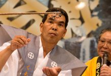 Aranhas samurais conheça a batalha de aranhas japonesas