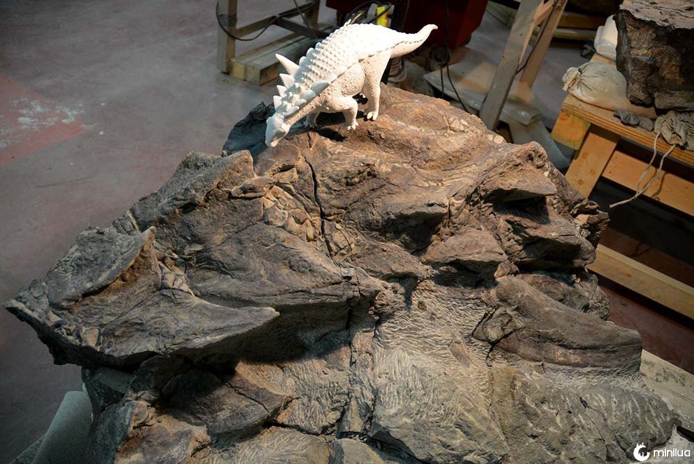 perfectly preserved dinosaur fosssil