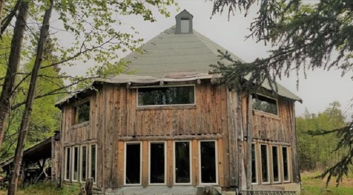 Casa isolada à venda em comparação com o pântano de Shrek com o banheiro mais triste do mundo