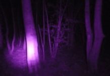 Caçadores de fantasmas 'ouvem gritos de socorro' de 'espectro de jovem em vestido branco'