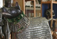 Os vários formas e tipos de armadura animal