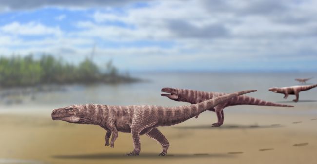 Crocodilo antigo andou sobre duas pernas