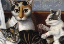 Por que tantos gatos têm meias brancas nas patas?