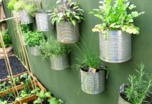 Temperos naturais - aprenda a fazer uma horta em casa nesse passo a passo fazer uma horta em casa