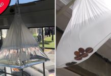 Truque surpreendente mantém as moscas fora da sua cozinha