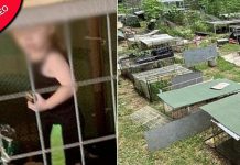 Criança faminta encontrada trancada em gaiola cercada por 700 animais, incluindo cobras