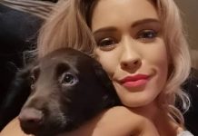 Mulher diz que seus cães amam seu vibrador mais do que ela