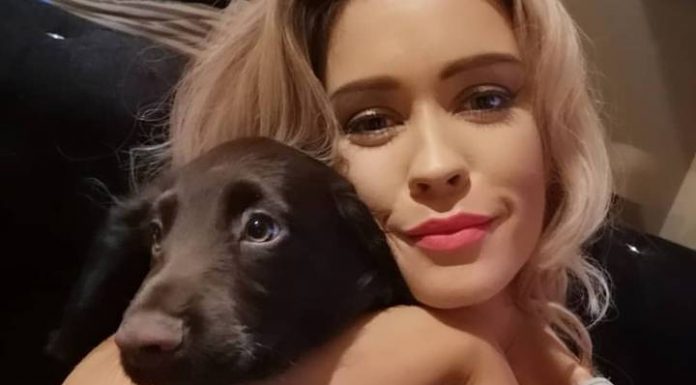 Mulher diz que seus cães amam seu vibrador mais do que ela