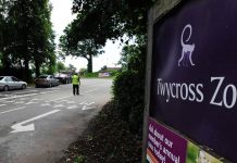 Zoológico de Twycross alerta para 'abate em massa' de animais após falta de financiamento