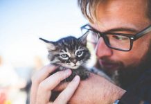 As mulheres têm menos probabilidade de deslizar para a direita nos perfis masculinos com imagens de gatos