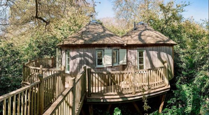 Casal de Londres 'mais feliz do que nunca' passa quarentena na casa da árvore