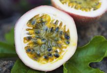 Maracujá pode em breve se tornar barato na Austrália devido ao 'tsunami' de suprimento