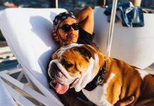 Lewis Hamilton 'de coração partido' após o amado animal de estimação Bulldog Coco morre aos seis anos