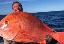 Pescador captura peixes 'loucos' 22kg
