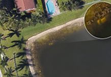 Homem da Flórida descobre cadáver de décadas usando o Google Earth