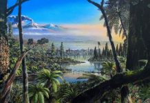 Restos de floresta tropical de 90 milhões de anos descoberta sob gelo antártico