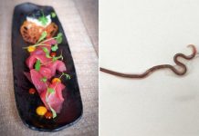 Descoberta de médicos de Tokio causa aflição aos amantes de comida japonesa